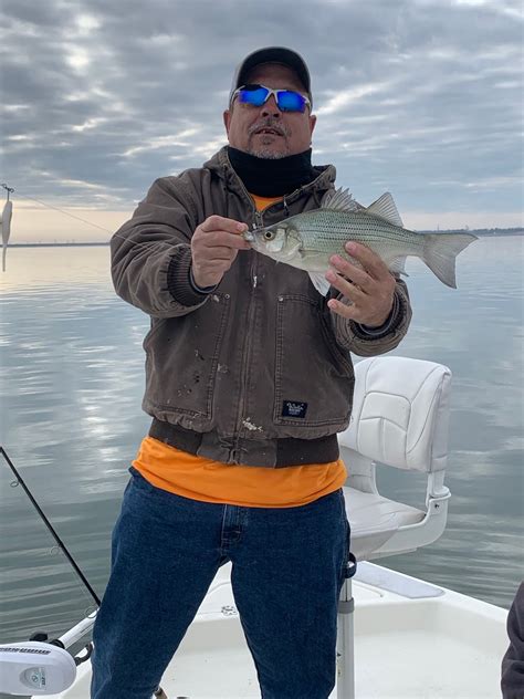 corder lake ray hubbard fishing reports  6200 Hatchery Road Fort Worth, Texas 76114 (817) 732-0761 Rafe Brock, BiologistLake Ray Hubbard Fishing Report - 08/08/13 11:48 PM